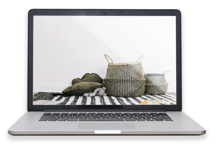 Web application development for ecommerce business selling baskets