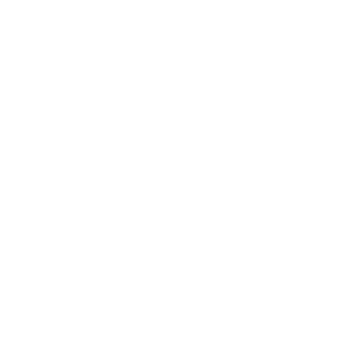 AlgoRank Logo