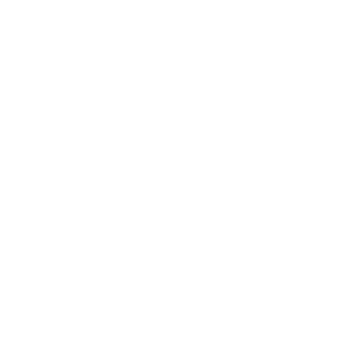 Dropship Lifestyle Logo
