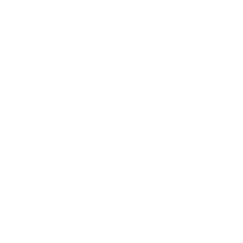 PapaDigital Logo