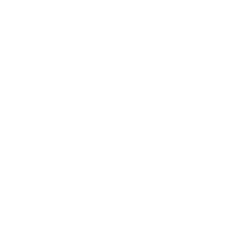 Seller Success Logo